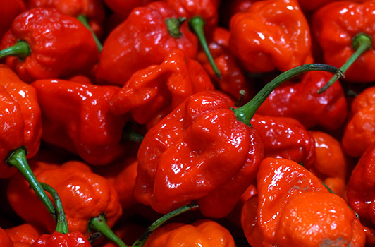 Carolina Reaper peppers