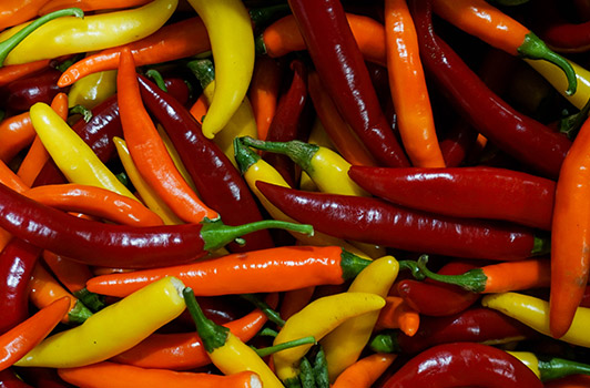 Cayenne