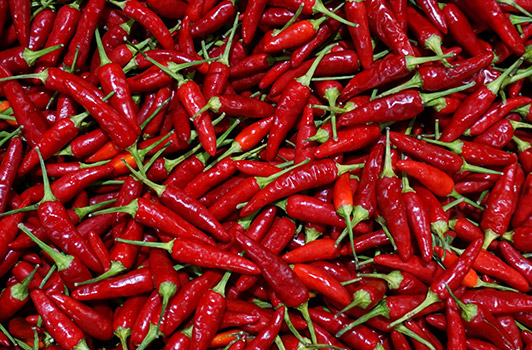Thai Chili