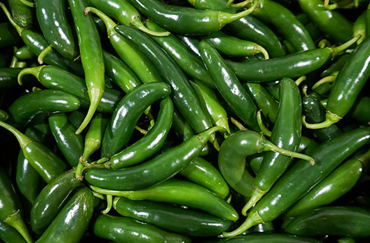 Serrano
